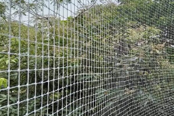 Safety Nets for Balconies in Chennai, Call Ashok Safety Nets for Best Service