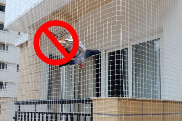 Pigeon Protection Nets for Balconies in Chennai, Call 9791170467 for Quote and Online Price.